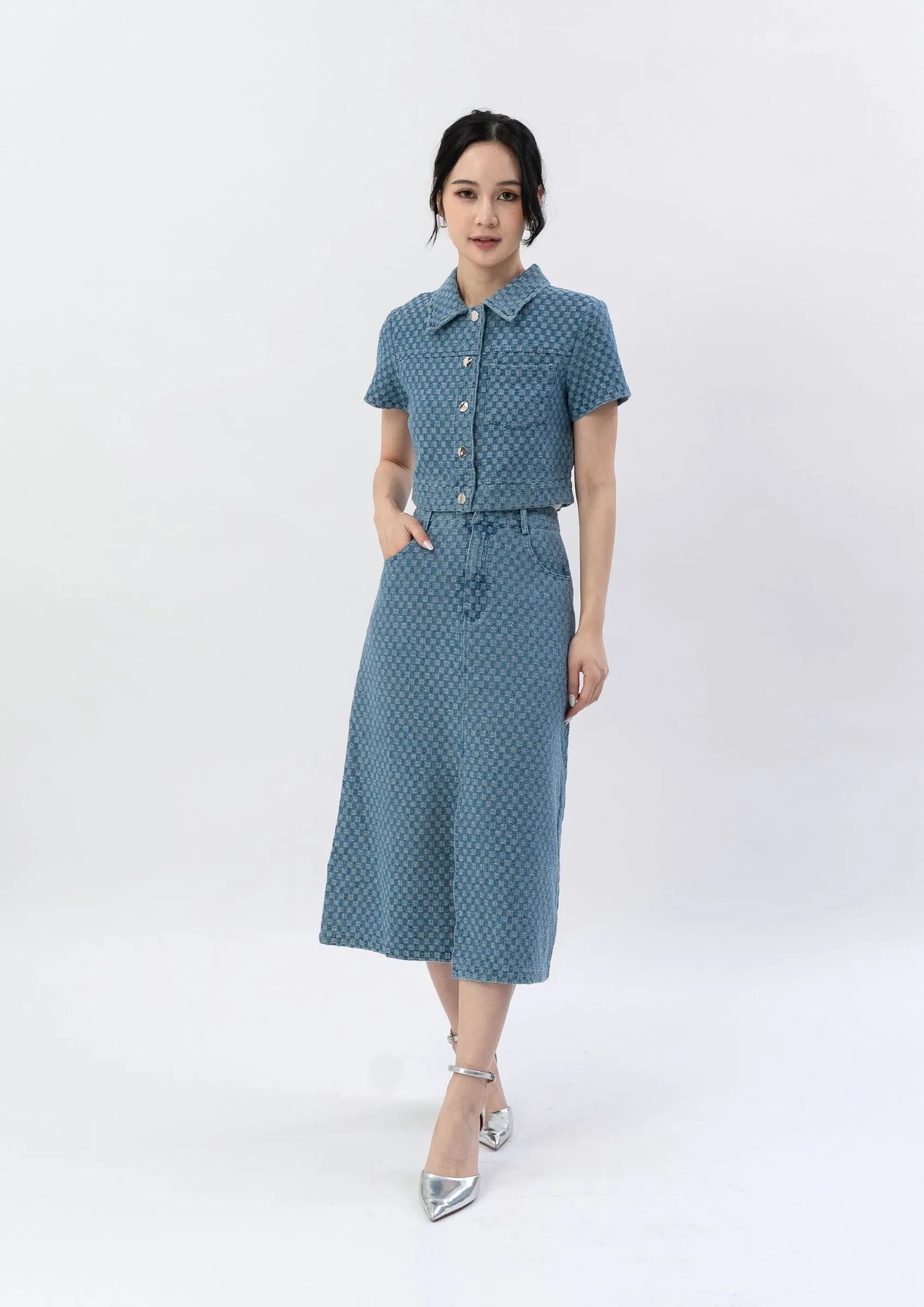 Odette  A-Line Skirt ZJK5008