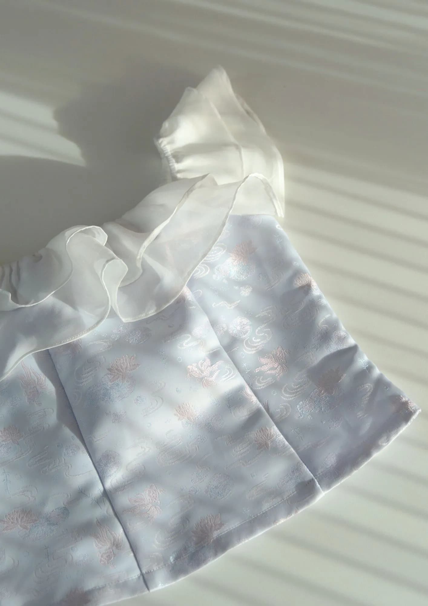 Sheer Organza Off-Shoulder Blouse ZBP5201