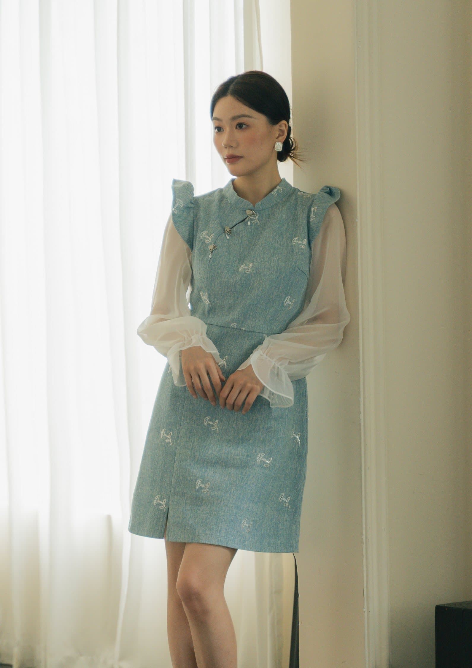 CNY Organza Long-Sleeve Dress ZBL5058