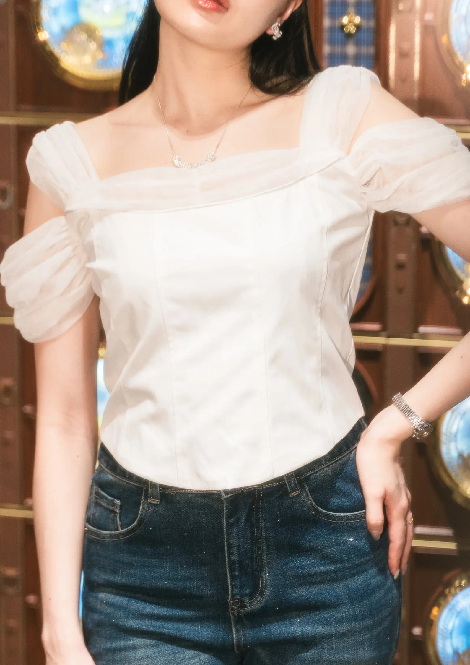 Mesh Sleeve Top ZBP5237