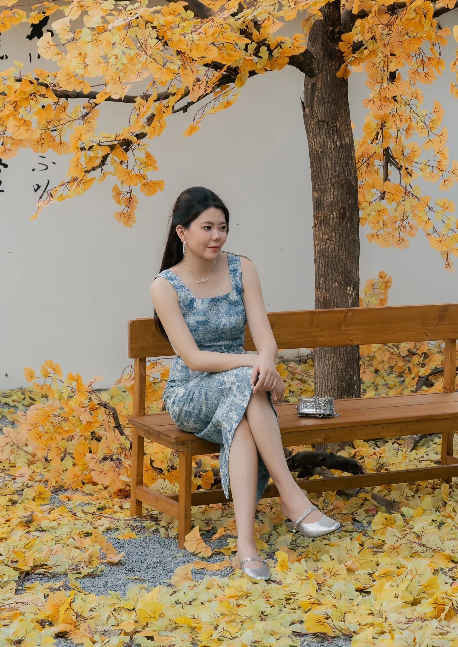 Denim Cheongsam Dresses ZBL5072