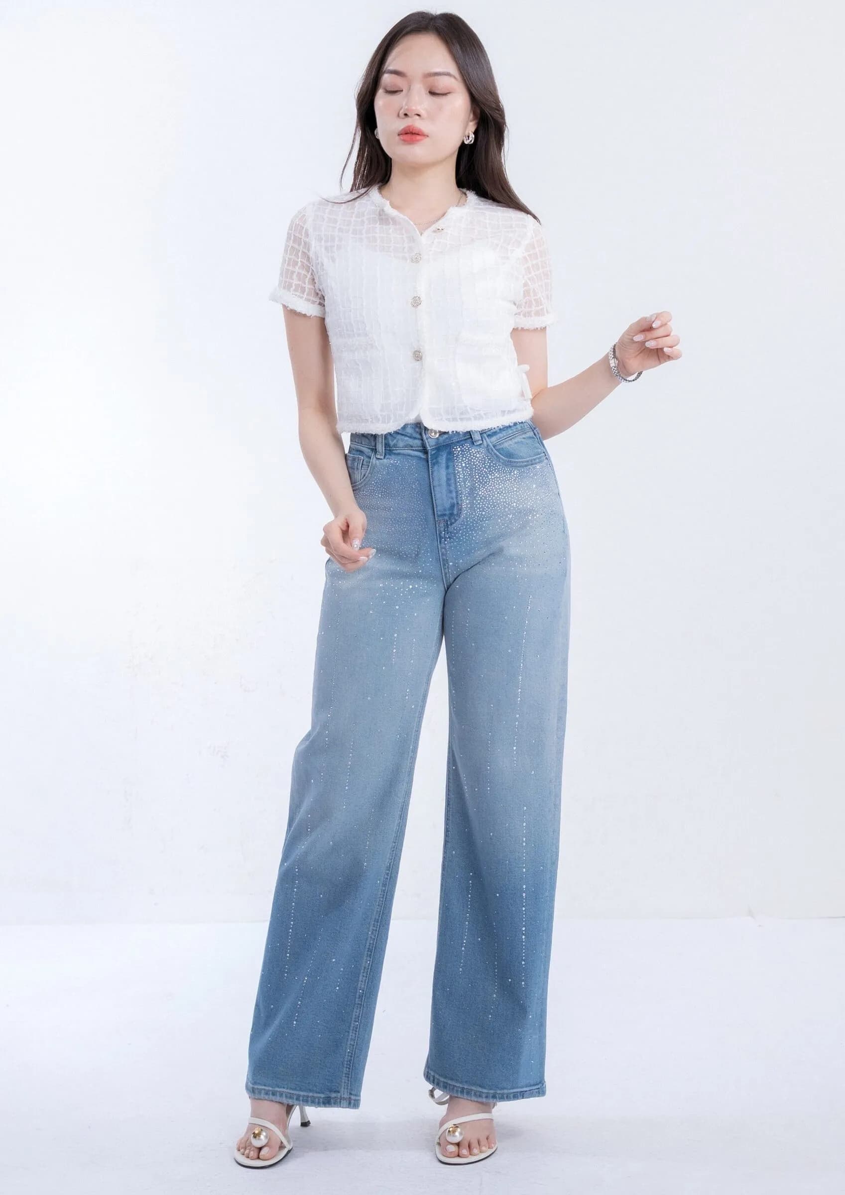 Sheer Chiffon Short Sleeve Top ZBP5272
