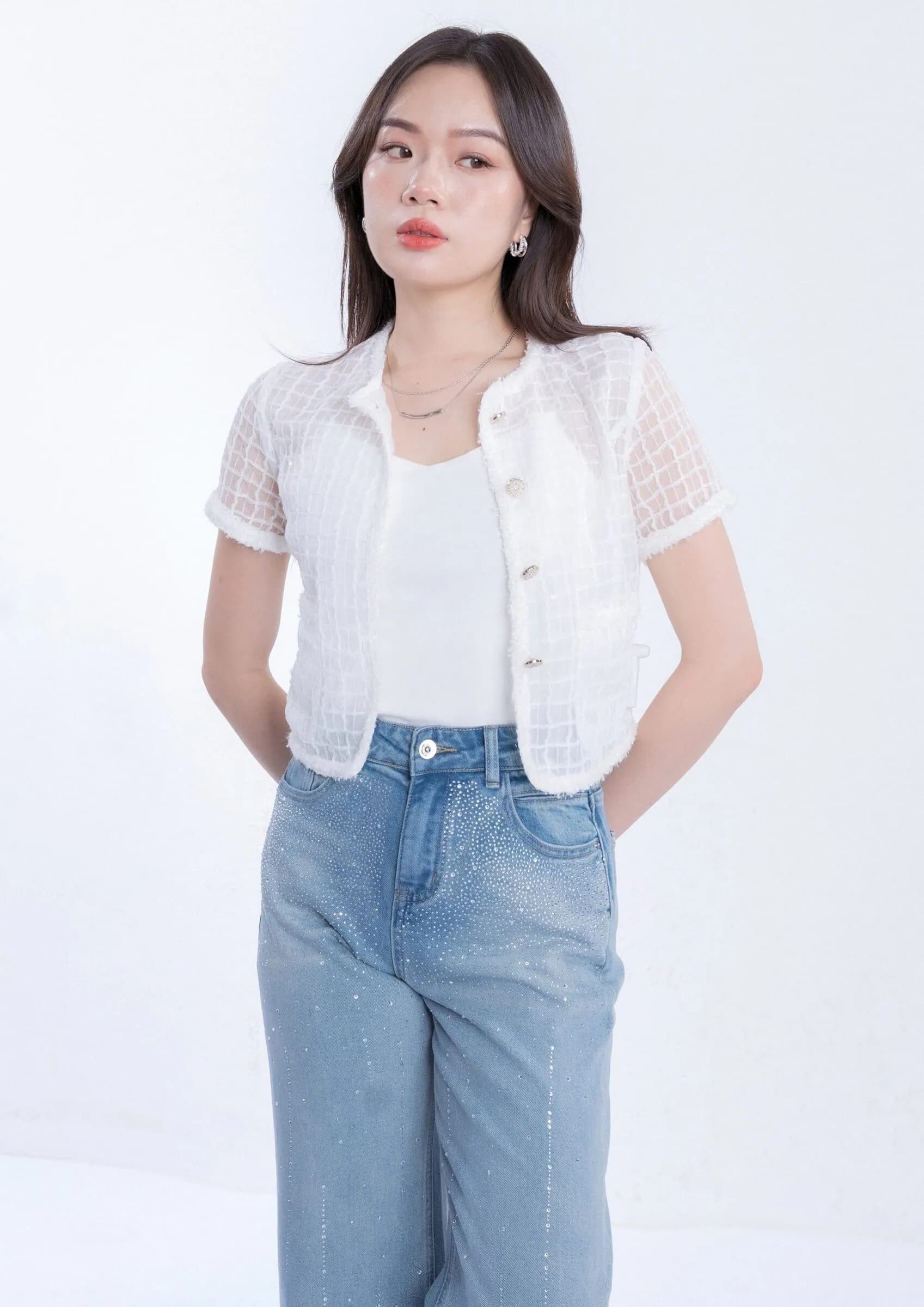 Sheer Chiffon Short Sleeve Top ZBP5272