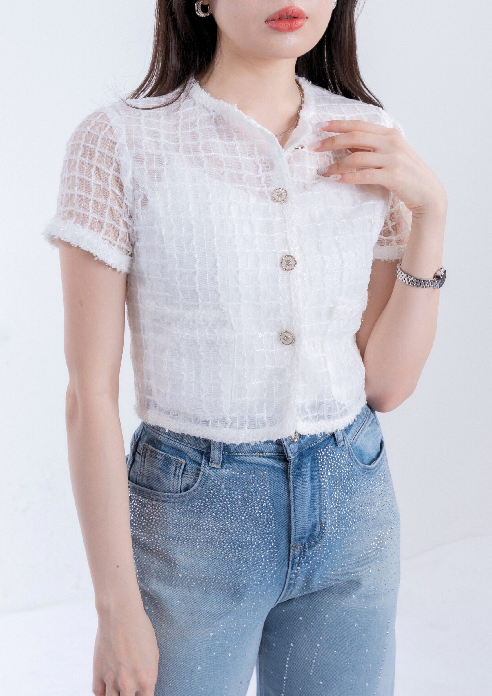 Sheer Chiffon Short Sleeve Top ZBP5272