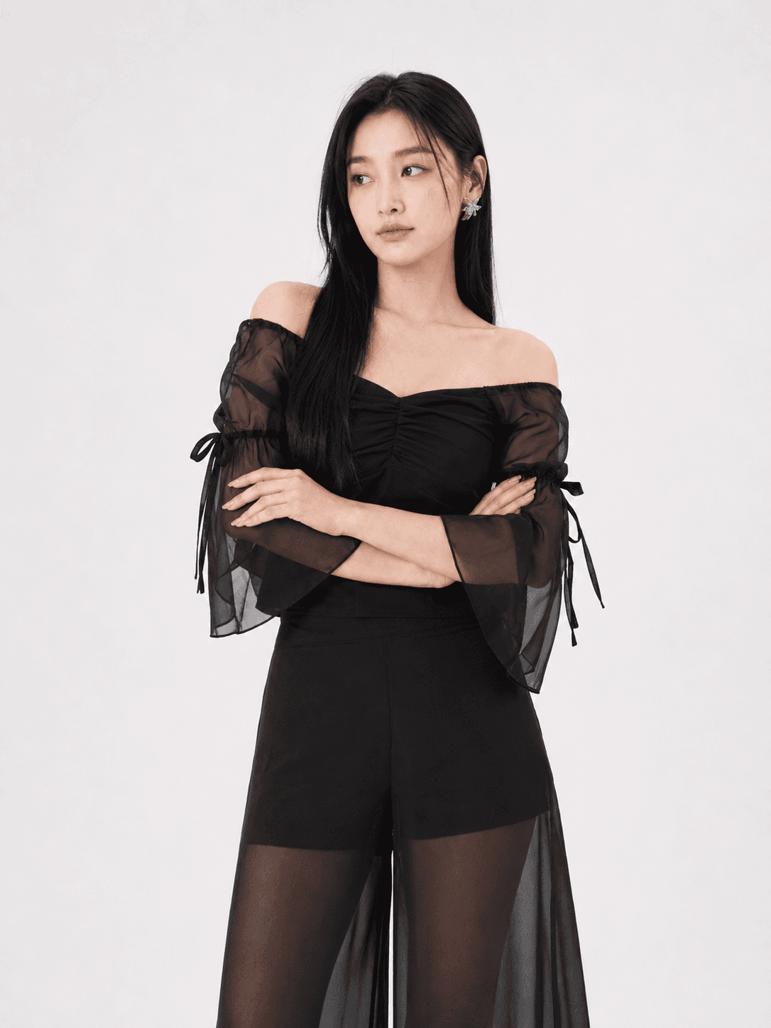 Blake Organza Sleeve Top ZBP5070