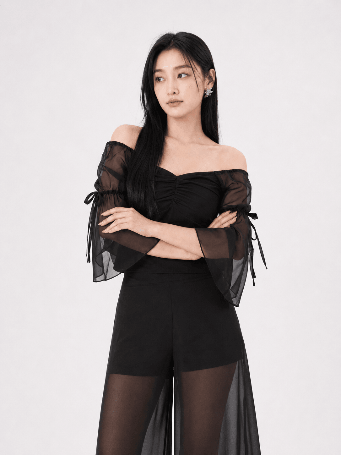 Blake Organza Sleeve Top ZBP5070