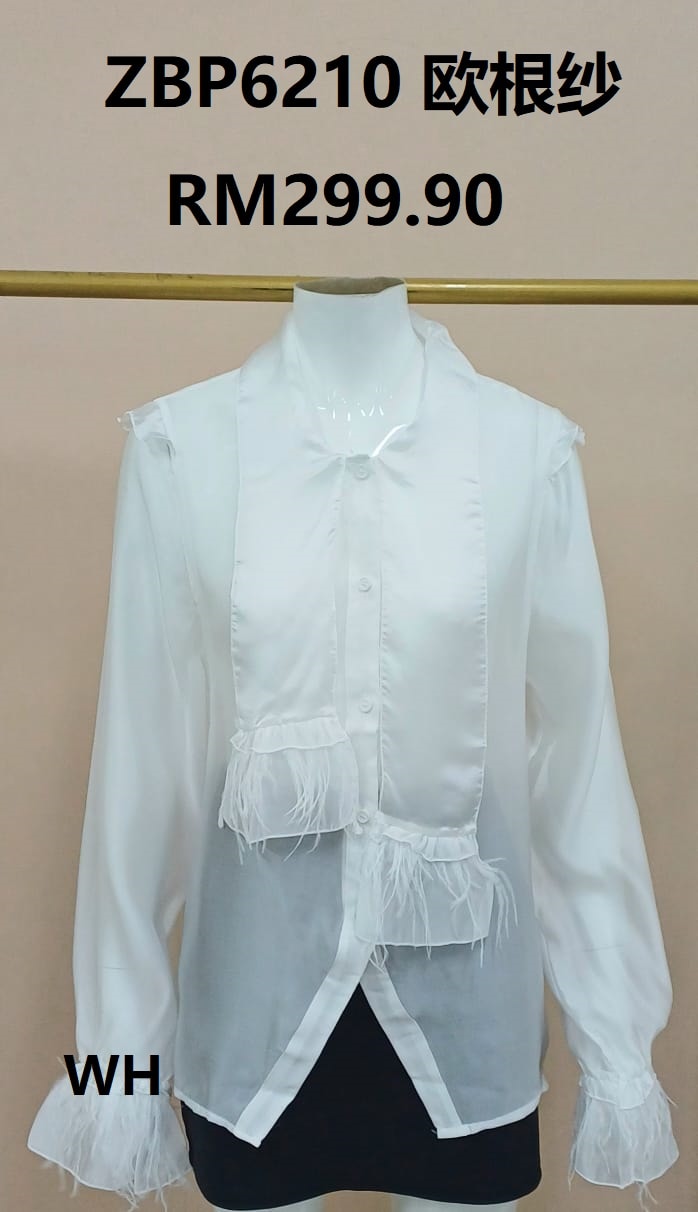 Sheer Organza Blouse